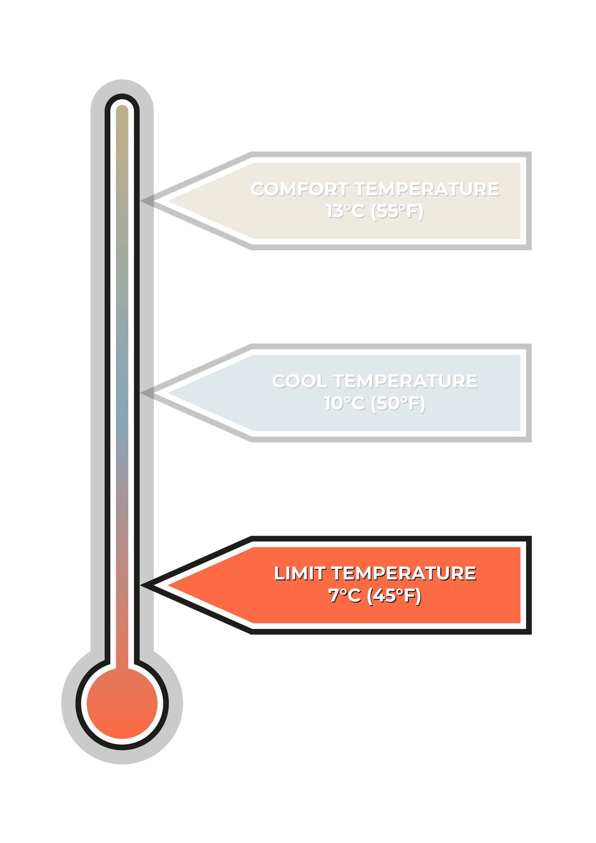 VOITED CloudTouch® Indoor/Outdoor Camping Blanket - Nordic Forest Blankets VOITED 
